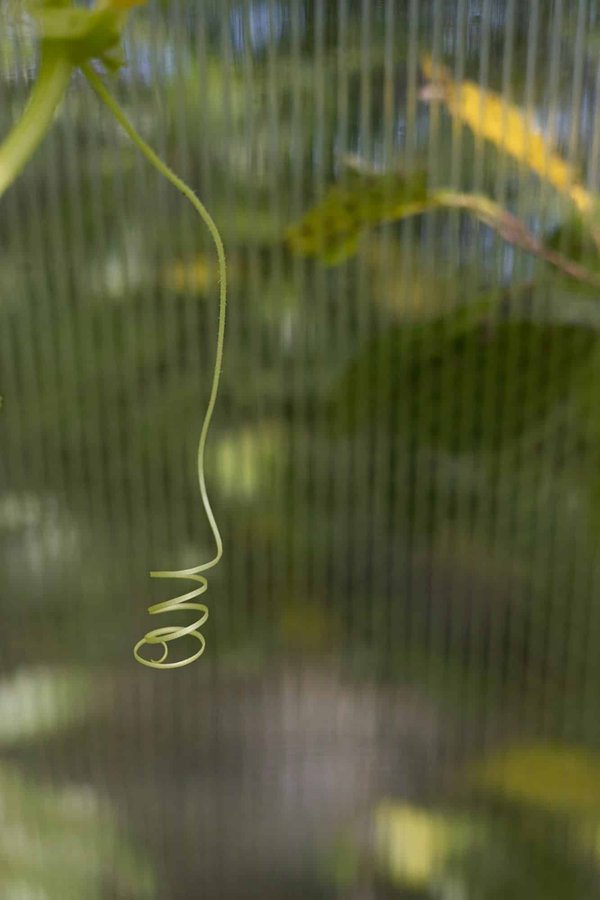 Comment un jeu vidéo peut-il incorporer avec succès des éléments de la littérature classique?